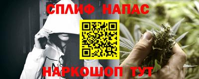 молекула духа Славянск-на-Кубани