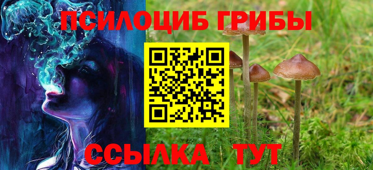 Галлюциногенные грибы Cubensis  Вход с VPN  Новоалтайск  Галлюциногенные грибы прущие грибы 