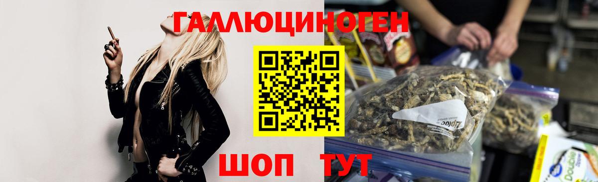 Псилоцибиновые грибы Psilocybe Новоалтайск